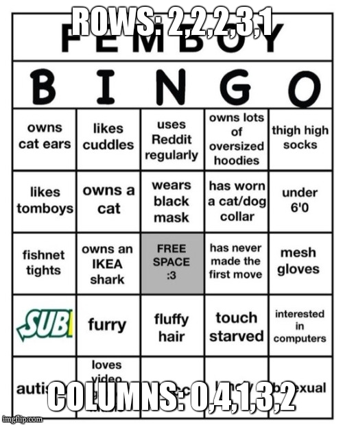 you know those puzzles that have the numbers depicting how many black squares are in the row? this is it | ROWS: 2,2,2,3,1; COLUMNS: 0,4,1,3,2 | image tagged in femboy bingo | made w/ Imgflip meme maker