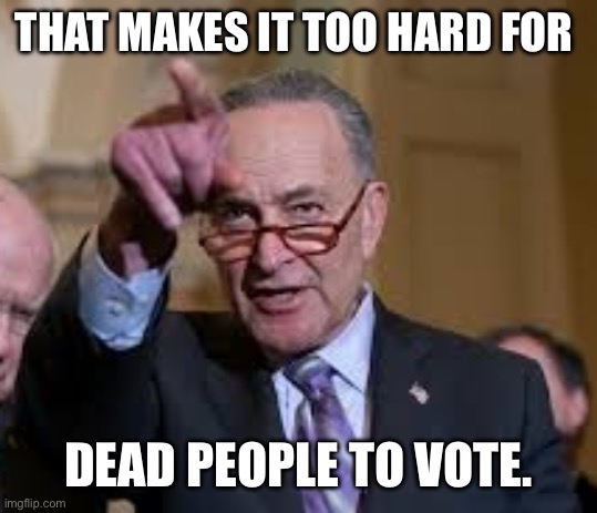 Schmuck Shumer | THAT MAKES IT TOO HARD FOR DEAD PEOPLE TO VOTE. | image tagged in schmuck shumer | made w/ Imgflip meme maker