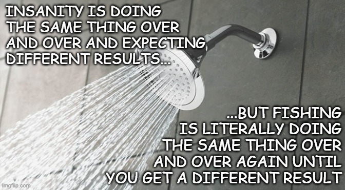 Shower Thoughts | INSANITY IS DOING THE SAME THING OVER AND OVER AND EXPECTING DIFFERENT RESULTS... ...BUT FISHING IS LITERALLY DOING THE SAME THING OVER AND OVER AGAIN UNTIL YOU GET A DIFFERENT RESULT | image tagged in shower thoughts,hold up | made w/ Imgflip meme maker