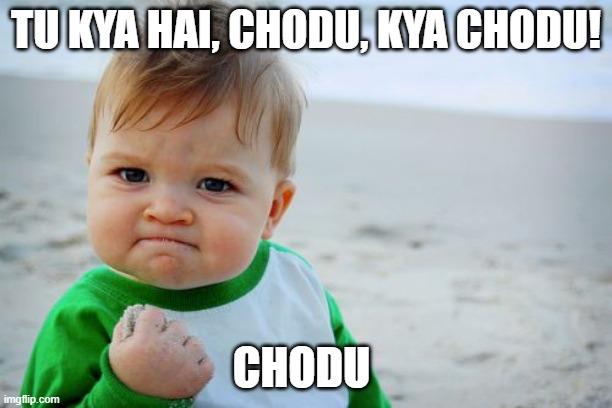 Success Kid Original | TU KYA HAI, CHODU, KYA CHODU! CHODU | image tagged in memes,success kid original | made w/ Imgflip meme maker