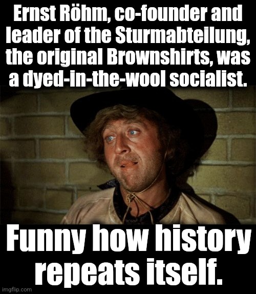 Ernst Röhm, co-founder and
leader of the Sturmabteilung, the original Brownshirts, was
a dyed-in-the-wool socialist. Funny how history
repea | image tagged in blank black,gene wilder | made w/ Imgflip meme maker