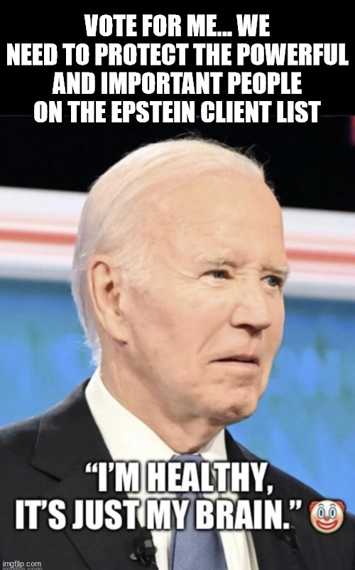 VOTE FOR ME... WE NEED TO PROTECT THE POWERFUL AND IMPORTANT PEOPLE ON THE EPSTEIN CLIENT LIST | made w/ Imgflip meme maker