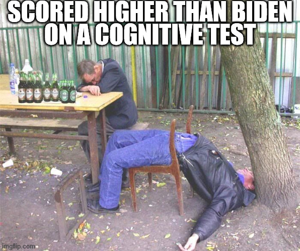 Dementia in Chief | SCORED HIGHER THAN BIDEN
ON A COGNITIVE TEST | made w/ Imgflip meme maker