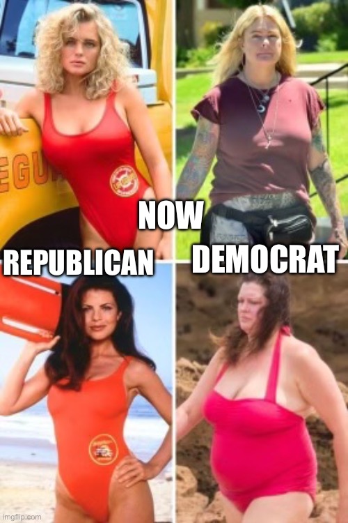 Republicans trans to democrats | NOW; DEMOCRAT; REPUBLICAN | image tagged in upvotes,funny,funny memes,memes | made w/ Imgflip meme maker