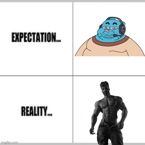 Expectation vs Reality | image tagged in expectation vs reality | made w/ Imgflip meme maker