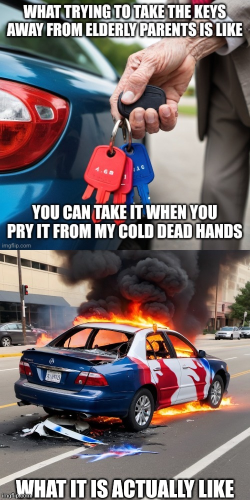 Elderly parents terrible drivers | WHAT IT IS ACTUALLY LIKE | image tagged in car crash,funny car crash,sad but true | made w/ Imgflip meme maker