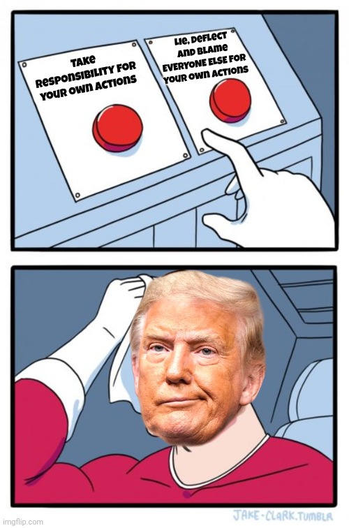 He Chose To Let The Country Burn Instead Of Taking Responsibility For What He HAS Done | Lie, deflect and blame EVERYONE ELSE for your own actions; Take responsibility for your own actions | image tagged in memes,two buttons,trump lies,trump unfit unqualified dangerous,donald trump is a convicted felon,lock him up | made w/ Imgflip meme maker