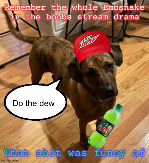 Do the dew | Remember the whole Emosnake in the boobs stream drama; That shit was funny af | image tagged in do the dew | made w/ Imgflip meme maker