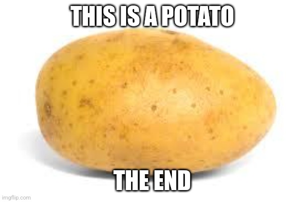 P o t a t o | THIS IS A POTATO; THE END | image tagged in potato,memes,you have been eternally cursed for reading the tags | made w/ Imgflip meme maker