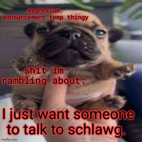 I have so much stuff to type but not here. everyone hates everyone here lol | I just want someone to talk to schlawg. | image tagged in pug temp | made w/ Imgflip meme maker