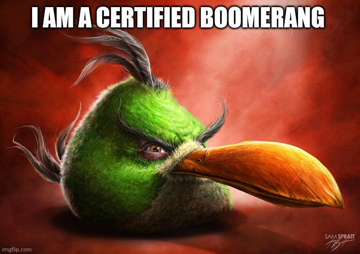 Realistic Angry Bird (green one) | I AM A CERTIFIED BOOMERANG | image tagged in realistic angry bird green one | made w/ Imgflip meme maker