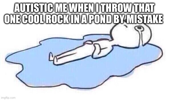 True | AUTISTIC ME WHEN I THROW THAT ONE COOL ROCK IN A POND BY MISTAKE | image tagged in lying on the floor crying | made w/ Imgflip meme maker