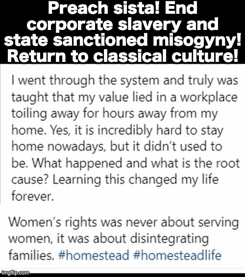 end corporate misogyny! | Preach sista! End corporate slavery and state sanctioned misogyny! Return to classical culture! | image tagged in misogyny,corporate slavery,politics,american culture,tradition,tradwife | made w/ Imgflip meme maker