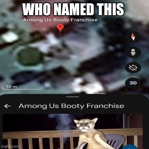 WHO NAMED THIS | made w/ Imgflip meme maker