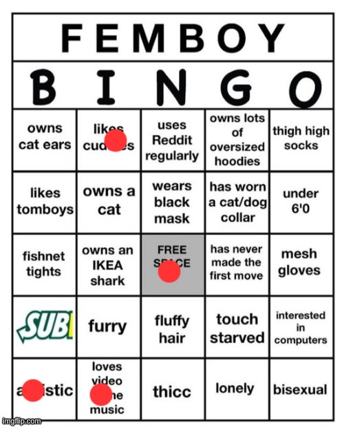 Femboy Bingo | image tagged in femboy bingo | made w/ Imgflip meme maker