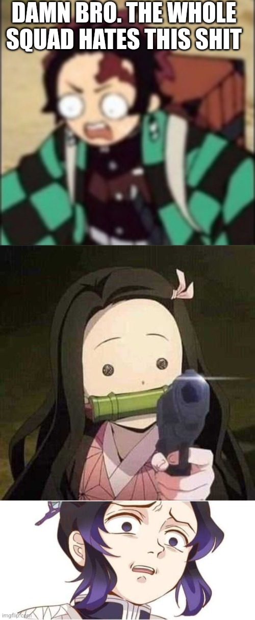 DAMN BRO. THE WHOLE SQUAD HATES THIS SHIT | image tagged in confused,nezuko nooooo,demon slayer kocho | made w/ Imgflip meme maker
