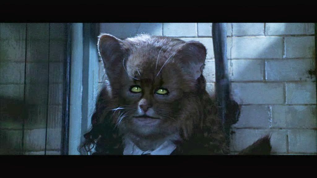 Hermione as a cat Blank Meme Template