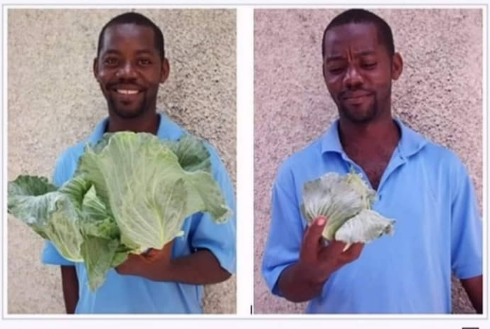 High Quality Cabbage Man Blank Meme Template