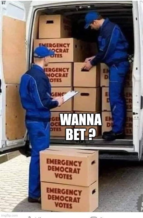 Emergency Democrat Votes | WANNA BET ? | image tagged in emergency democrat votes | made w/ Imgflip meme maker
