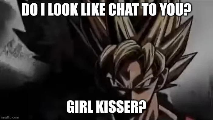 Goku Staring | DO I LOOK LIKE CHAT TO YOU? GIRL KISSER? | image tagged in goku staring | made w/ Imgflip meme maker