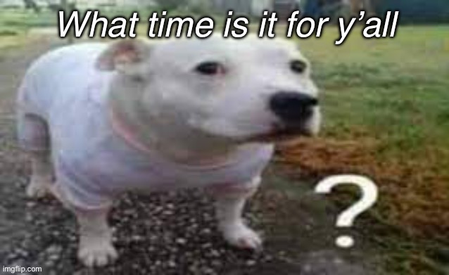 :- | What time is it for y’all | image tagged in dog question mark | made w/ Imgflip meme maker