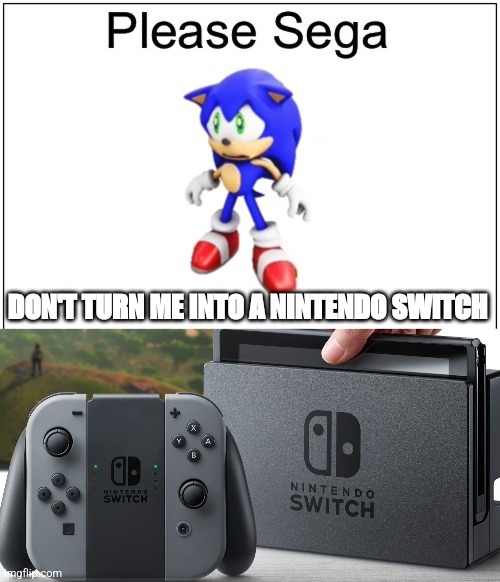 DON'T TURN ME INTO A NINTENDO SWITCH | image tagged in please sega,nintendo switch | made w/ Imgflip meme maker