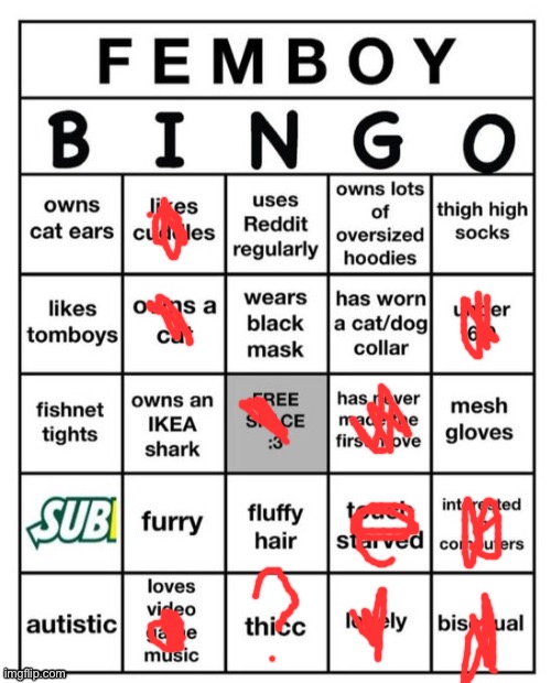 Wait am I almost a femboy- | image tagged in femboy bingo | made w/ Imgflip meme maker