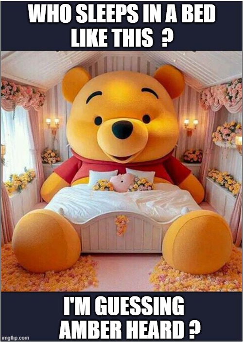 Look .. A Massive Pooh ! | WHO SLEEPS IN A BED
LIKE THIS  ? I'M GUESSING
   AMBER HEARD ? | image tagged in winnie the pooh,bed,poo,amber turd,dark humour | made w/ Imgflip meme maker