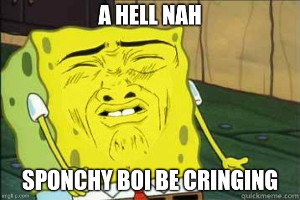 sponch bop | A HELL NAH; SPONCHY BOI BE CRINGING | image tagged in sponge bob | made w/ Imgflip meme maker