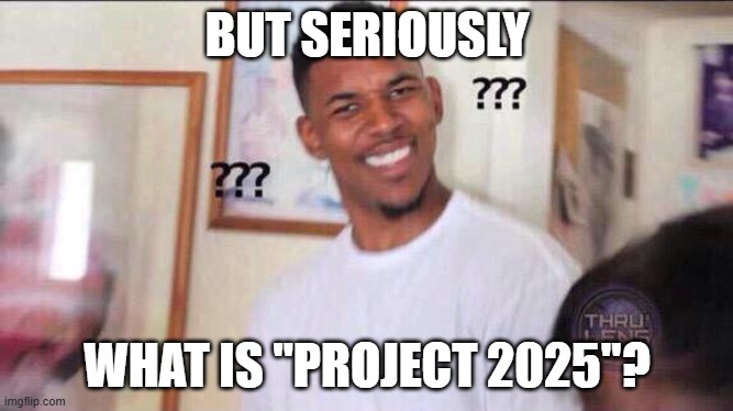 Black guy confused | BUT SERIOUSLY; WHAT IS "PROJECT 2025"? | image tagged in black guy confused | made w/ Imgflip meme maker