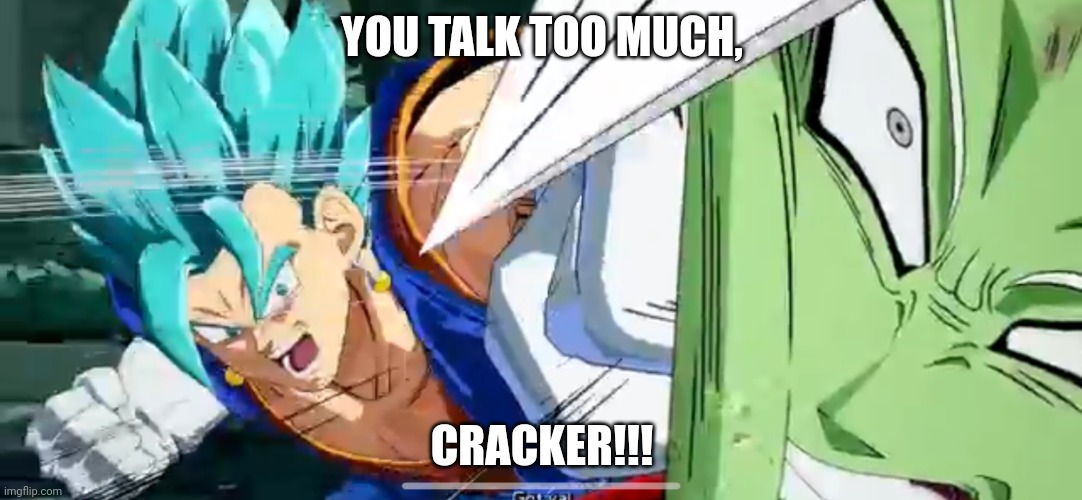 Vegito punching | YOU TALK TOO MUCH, CRACKER!!! | image tagged in vegito punching | made w/ Imgflip meme maker