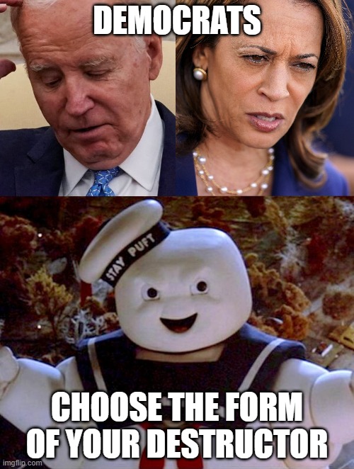 Choose between a senile old man who babbles or a crazy tag along who babbles (and cackles). | DEMOCRATS; CHOOSE THE FORM OF YOUR DESTRUCTOR | image tagged in joe biden,kamala harris,democrats,dnc,stay puft marshmallow man | made w/ Imgflip meme maker