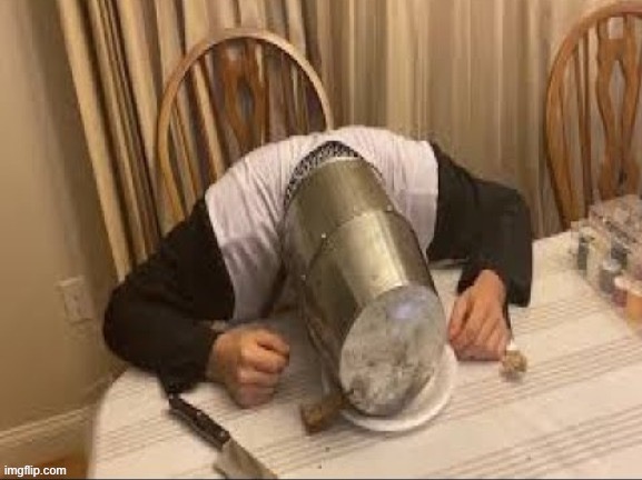 sleeping crusader | image tagged in sleeping crusader | made w/ Imgflip meme maker