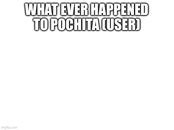 WHAT EVER HAPPENED TO POCHITA (USER) | made w/ Imgflip meme maker