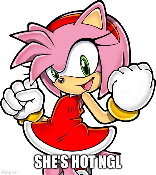 Amy Rose | SHE’S HOT NGL | image tagged in amy rose | made w/ Imgflip meme maker