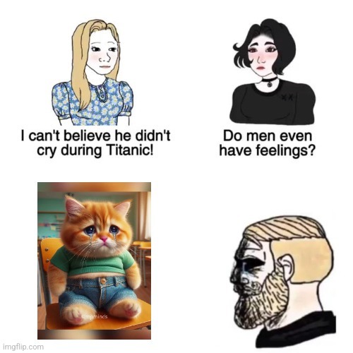 Meow Meow Meow Meow Meowwwwwww :( | image tagged in memes,funny,front page,cats,i cant believe he didnt cry,pls front page | made w/ Imgflip meme maker