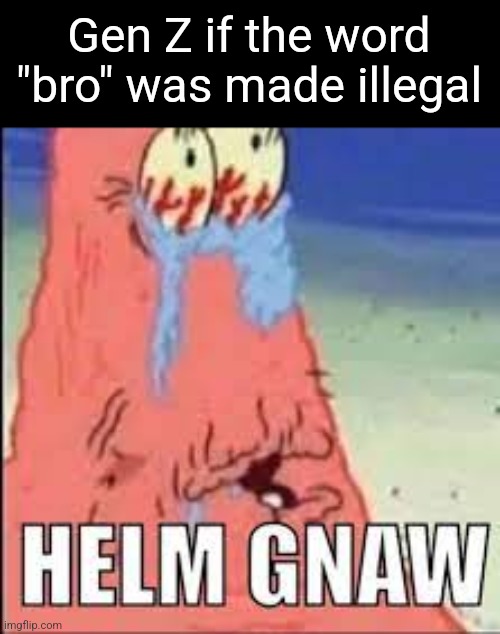 HELM GNAW | Gen Z if the word "bro" was made illegal | image tagged in helm gnaw | made w/ Imgflip meme maker