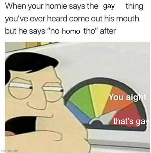 No homo tho | gay; homo; that’s gay | image tagged in no homo tho | made w/ Imgflip meme maker