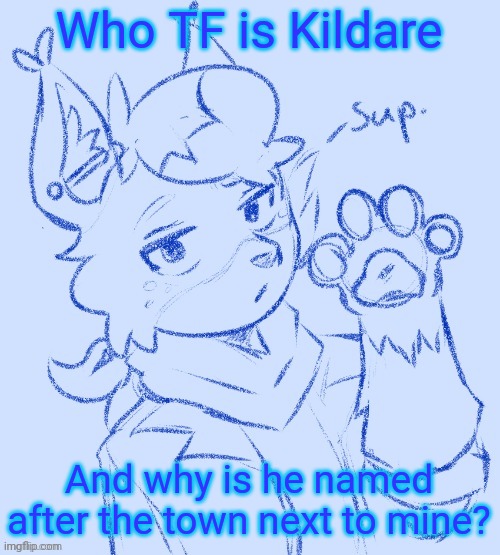 sup. | Who TF is Kildare; And why is he named after the town next to mine? | image tagged in sup | made w/ Imgflip meme maker