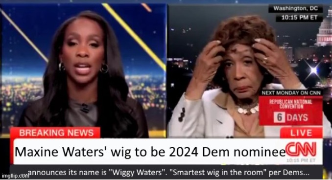 Maxine Waters' Wig for President | image tagged in president,democrat,wig,hair,maxine waters,joe biden | made w/ Imgflip meme maker