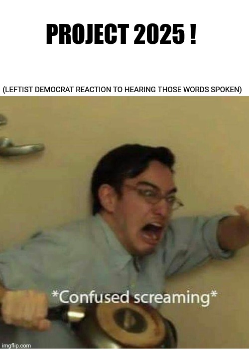 confused screaming | PROJECT 2025 ! (LEFTIST DEMOCRAT REACTION TO HEARING THOSE WORDS SPOKEN) | image tagged in confused screaming | made w/ Imgflip meme maker