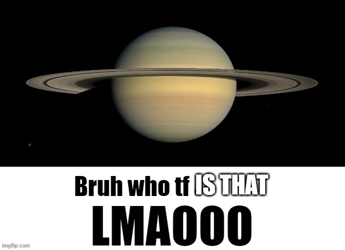 Bruh who tf are you LMAOOO | IS THAT | image tagged in bruh who tf are you lmaooo | made w/ Imgflip meme maker