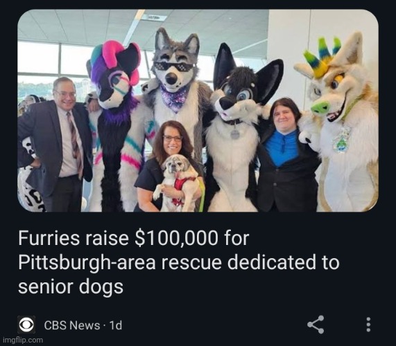 Wholesome 100 | image tagged in furry,the furry fandom,news,screenshot,wholesome | made w/ Imgflip meme maker