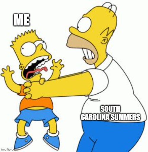 Me & Summer Heat | ME; SOUTH CAROLINA SUMMERS | image tagged in homer strangling bart,south carolina summer,summer heat | made w/ Imgflip meme maker