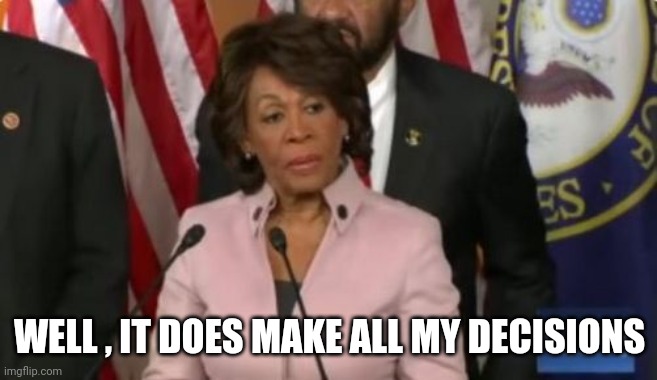 Maxine Waters | WELL , IT DOES MAKE ALL MY DECISIONS | image tagged in maxine waters | made w/ Imgflip meme maker