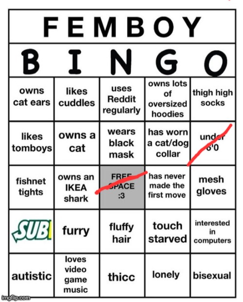 Femboy Bingo | image tagged in femboy bingo | made w/ Imgflip meme maker