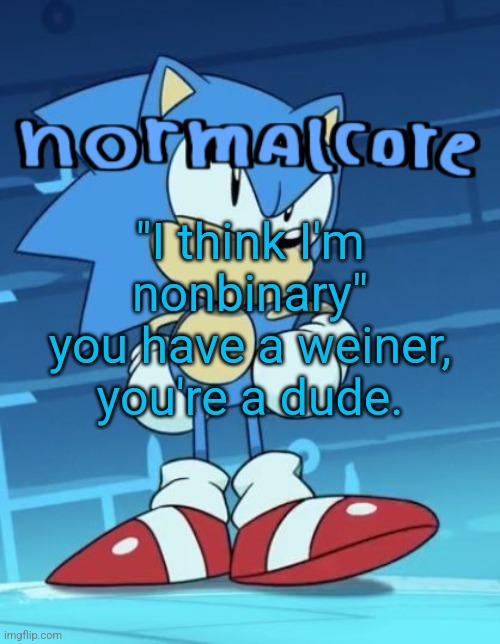 Random sonic template | "I think I'm nonbinary" you have a weiner, you're a dude. | image tagged in random sonic template | made w/ Imgflip meme maker