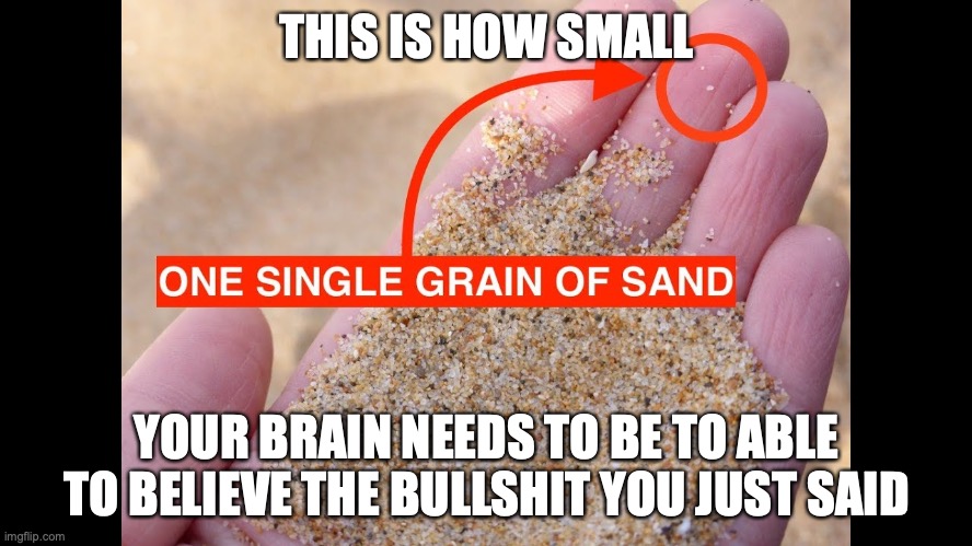 Another way to respond to conspiracy theorists on the internet | THIS IS HOW SMALL; YOUR BRAIN NEEDS TO BE TO ABLE TO BELIEVE THE BULLSHIT YOU JUST SAID | image tagged in based,funny,relatable | made w/ Imgflip meme maker