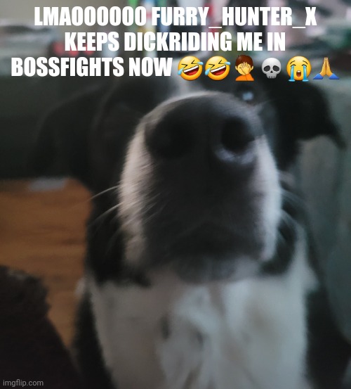 tweaks dock | LMAOOOOOO FURRY_HUNTER_X KEEPS DICKRIDING ME IN BOSSFIGHTS NOW 🤣🤣🤦💀😭🙏 | image tagged in tweaks dock | made w/ Imgflip meme maker