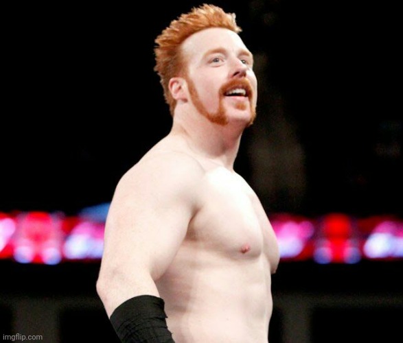 Sheamus taylor swift shake it off wwe | image tagged in sheamus taylor swift shake it off wwe | made w/ Imgflip meme maker